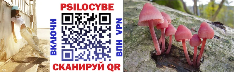 Псилоцибиновые грибы мухоморы  где купить наркоту  Лесозаводск 